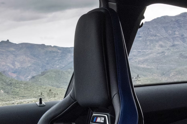 BMW M2 Seat Headrest